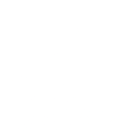 The Ohio State University